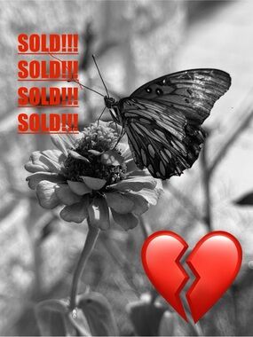 PENDING SALE ELSEWHERE